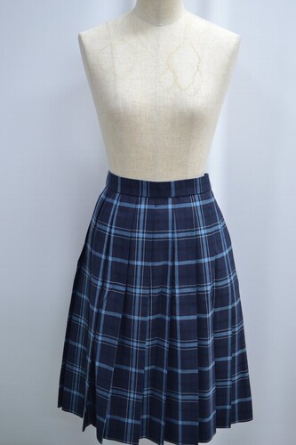  �Z��size ��t�� �������t���w �����w�Z �ăX�J�[�g ����6107