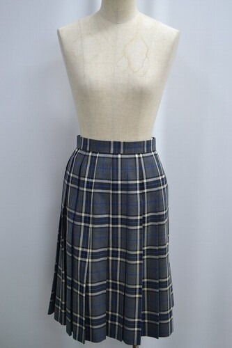  �Z��t�� �������t���w �����w�Z �ăX�J�[�g ����6108