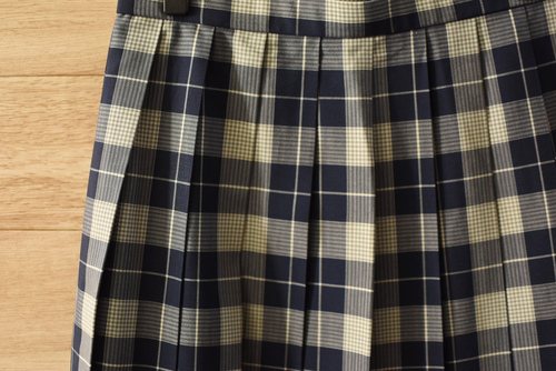  c���ǍD�����q�w������ �l�C�`�F�b�N�� �ăX�J�[�gW66L57�����E�O���[�E�Z�� �s��