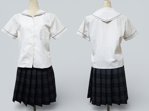 ���{ 383���~�ԍ��Z���i�R�V�m�q���R�j�����u���E�X���`�F�b�N�X�J�[�g�i�āj��LL�EW72