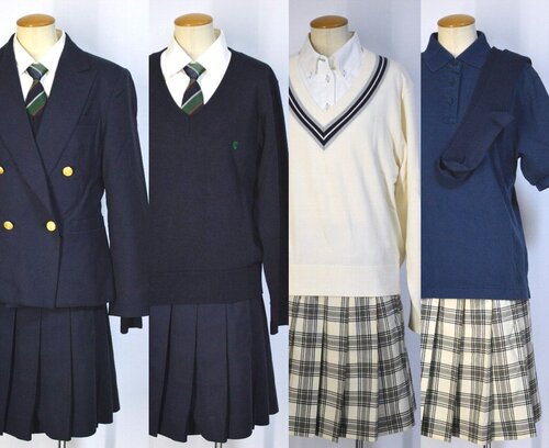  �������s ������w���������w�Z �u���U�[�~�ĕ� �l�N�^�C ���n�C�\�b�N�X�� 10�_�Z�b�g��JT5614