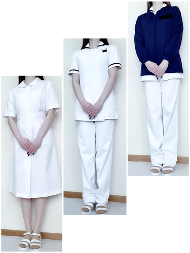 �{�茧 ���f��������g�p!!�{���Õ������w�Z���K�E�F�A���Z�b�g�󏭕i