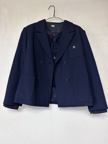  �_�ސ쌧�@�k���q���q�w���@�~���Z�[���[���㉺���Z�b�g�@�����������@�@3107