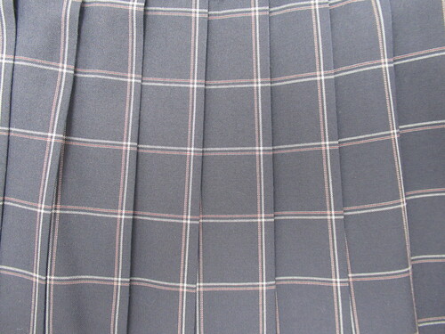 [�s��] 8127�@430�@�ăX�J�[�g ���{�ԁ{�O���[ �`�F�b�N��