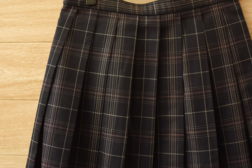  a�����i�����q�w������ �l�C�`�F�b�N�� �~�X�J�[�g���� �s��