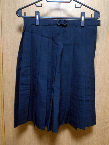 �F�{�� ���D���w�E���Z �� �ĕ� �X�J�[�g �ԂЂ�24�{