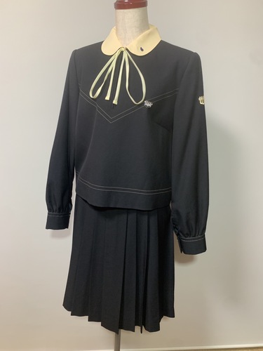 �������� �y���������S���q���Z�E���������S���q���w�Z�z�傫�߃T�C�Y �~���� �o�b�W2�t