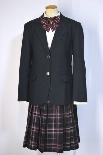  �������s �r��旧�掵���w�Z �O���[�� �u���U�[�~�� ���{����T5649