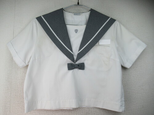 ���ꌧ 8162�@230�@�傫�ȃT�C�Y�I�����w����w���������w �ăZ�[���[�㒅 �O���[��