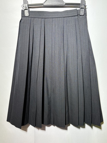  6499r �֐����� �s�� ���q���� �v���[�c�X�J�[�g W63 �g���{��