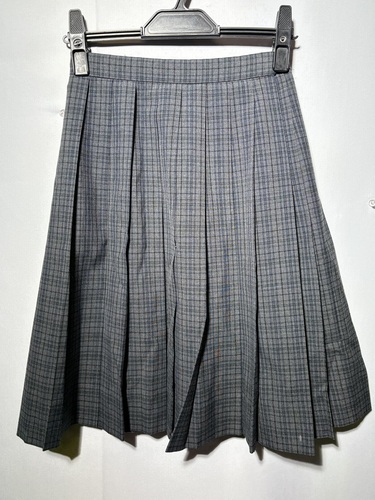  6518r ���s�{ �T���s�� �ړ����w ���q ���� �v���[�c�X�J�[�g �v63 �J���R�[��