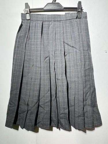  6519r ���s�{ �T���s�� �ړ����w ���q ���� �v���[�c�X�J�[�g �v69 �J���R�[��