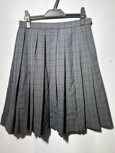  6520r ���s�{ �T���s�� �ړ����w ���q ���� �v���[�c�X�J�[�g �v59�`64���x  �J���R�[��