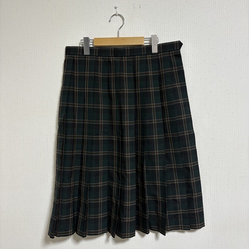 ���Ɍ� �y0207�z�@���w�Z�@���Z�@�`�F�b�N�X�J�[�g�ĕ��@W75��67