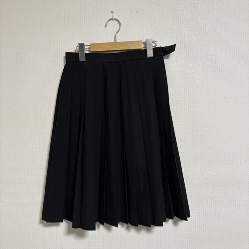 �O�d�� �y0208�z�@�Ԗ쒆�w�Z�@�@���n�X�J�[�g�ĕ��@W66��60�@