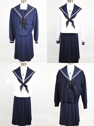 ���m�� ��������w�@���Z �y���s���� �Z�b�g�z/3574SE