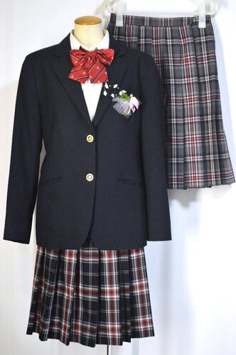  �������s �x�z�����w�Z �u���U�[�~�ĕ���T5654