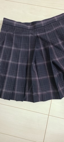 �_�ސ쌧 ���l�����w�����w���Z�̃~�j��`�F�b�N�X�J�[�g�I�I