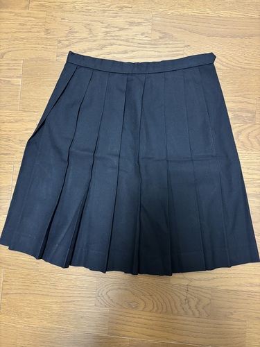 �L���� �L���s�����ƍ����w�Z�@�������@�~���@�X�J�[�g