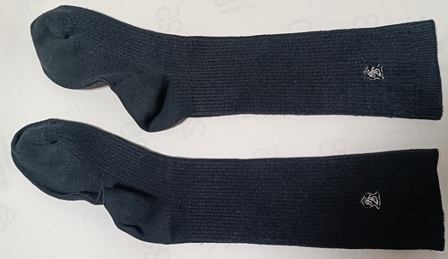 �_�ސ쌧 �_�ސ쌧�@���؏��q�w���@�w��\�b�N�X