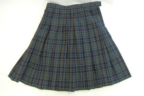  6543k ���{ �����s�� �퍪���w �~�� �v���[�c�X�J�[�g �T�C�YW66 ���q����