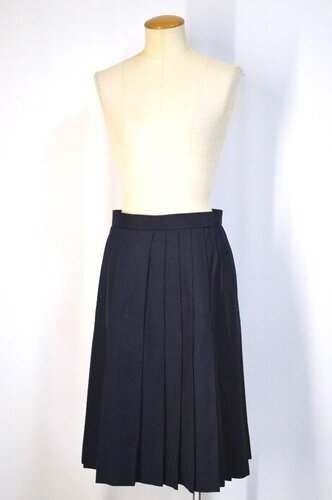  �������s �쑺���w�Z�E�����w�Z ���ăv���[�c�X�J�[�g��T5671