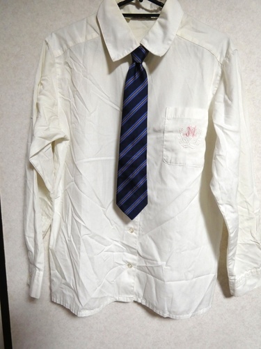 �_�ސ쌧 �_�ސ쌧�@���{��w�����w�Z�@�����V���c�A�X�J�[�g