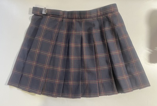 ��錧 �}�ԍ��Z���~�j�X�J�[�g�����q����