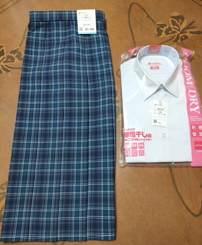  �y����T�C�Y�z/���g�p/�R�`��/�߉���O���w�Z/����/�����u���E�X�E�F�`�F�b�N�v���[�c�X�J�[�g/W90cm