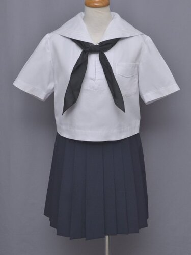 ������ ��fss-5491 �}�����w�����Z�i����ĕ��j��