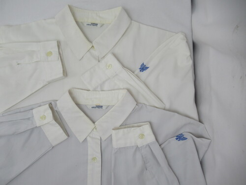 ���ꌧ 8243�@390�@�傫�ȃT�C�Y�I���ꏤ�ƍ��Z �����u���E�X2�_