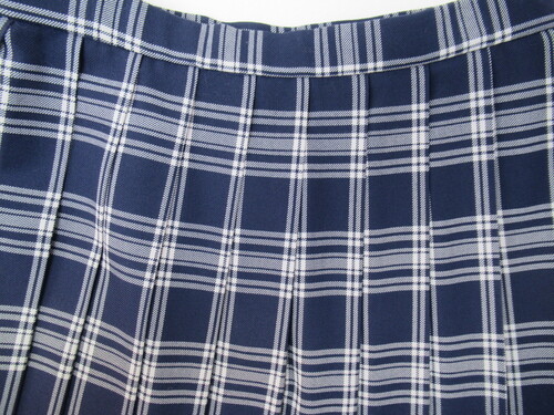 [�s��] 8255�@580�@�傫�ȃT�C�Y�I�~�X�J�[�g SCHOOLTIGER�� ��+�O���[ �`�F�b�N��