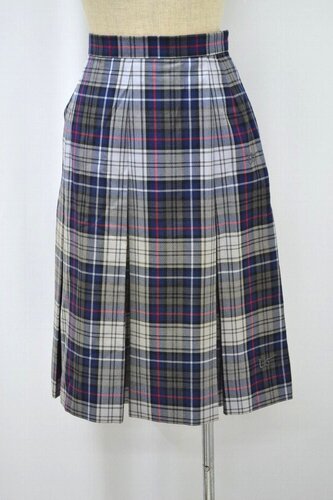  ����ʌ� �Y�a�w�@�����w�Z �ăX�J�[�g ��NA0617