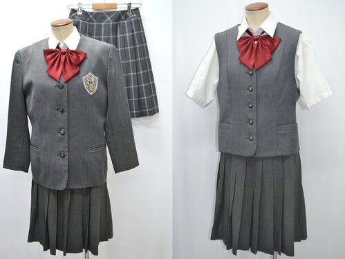  �������s �����w�����w�Z �݂Ȃ��u���U�[�~���E�ăX�J�[�g ��NA0627