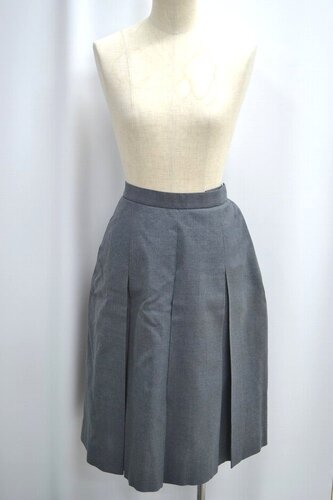  �Z��ʌ� ��ʑ�w����w���������w�Z �ăX�J�[�g ���n�t�� ����6115