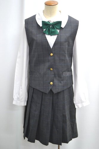  �Z���� W82 �_�ސ쌧�� ��t�����w�Z �~�x�X�g �~�X�J�[�g ����6116