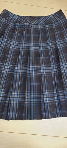 [�s��] �w�Z���s���̍��A�n�̃`�F�b�N�X�J�[�g�I�I