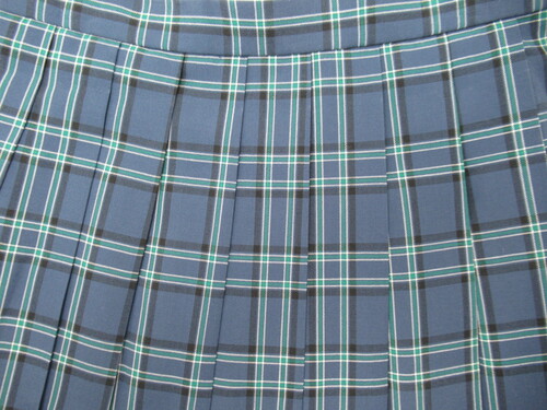 [�s��] 8277�@320�@�ăX�J�[�g Predichant �O���[+�΁{�� �`�F�b�N��