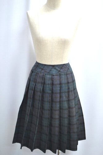  �Z��ʌ��� ��������w�Z �ăX�J�[�g ����6119