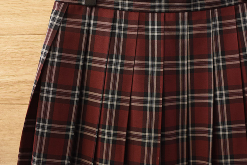  c���ǍD �r�b�O�T�C�YW73L57���X�N�[���E�F�A���q�w������ �l�C�`�F�b�N�� �~�X�J�[�g���ԁE���E�� �s��