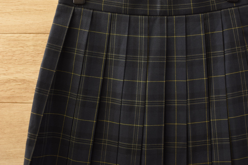  c�����i�������s ������w�ڍ����w�E�����w�Z �l�C�`�F�b�N�� �~�X�J�[�gW66L54�����Ȃ�