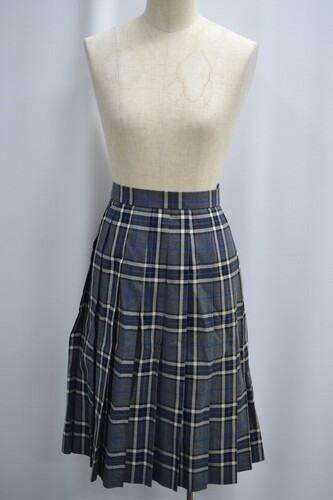  �Z��t�� �������t���w �����w�Z �ăX�J�[�g ����6121