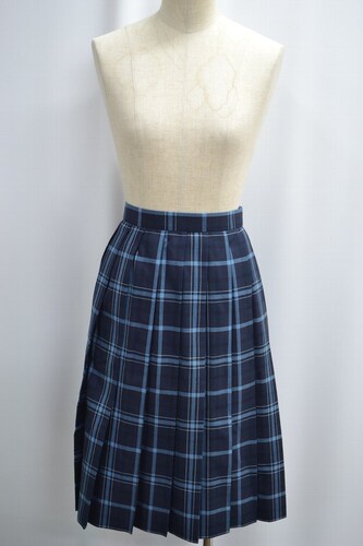  �Z��t�� �������t���w �����w�Z �ăX�J�[�g ����6122