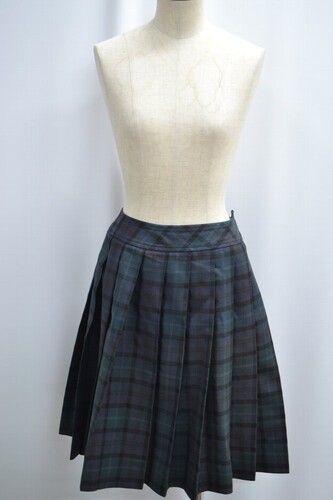  �Z��ʌ��� ��������w�Z �~�X�J�[�g ����6123