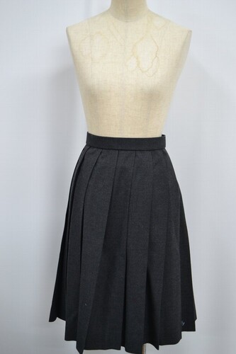  �Z��size ��t�� �����w�@�����w�Z �~�X�J�[�g ����6125