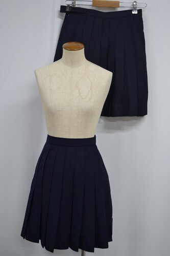  �Z��t���� �������w�Z �~�ăX�J�[�g ����6127