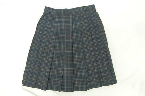  6693k �����s �s�� �]�ː썂�Z �ĕ� �v���[�c�X�J�[�g �T�C�YW69 ���q����