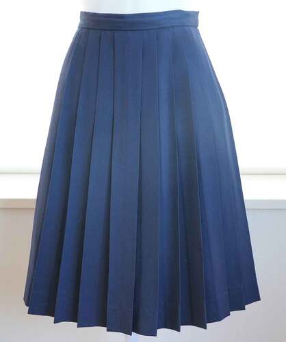  �����m�� �V��s���������w�Z �~���X�J�[�g�iw66�j���n�t�� ���q�������Ɛ��̕ۊǕi