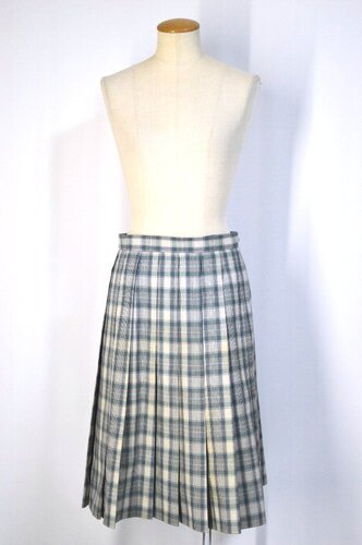  ����ʌ��� ���R���ˍ����w�Z �ă`�F�b�N�X�J�[�g ISAMI��T5689