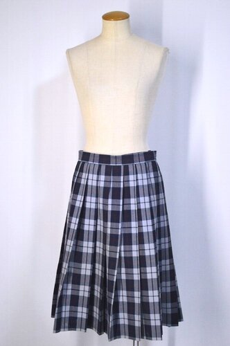  ����size �����s ��Êw�����w�Z�E�����w�Z �ă`�F�b�N�X�J�[�g �q���R�R�V�m��T5690